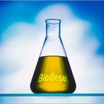 Il biodiesel in Italia