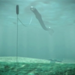 Nuovo impianto per sfruttare le onde marine