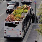 Nuovi giardini pensili sugli autobus da New York