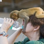 L’acqua: bisogno o privilegio?