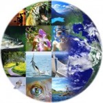 Piante, animali e cambiamenti cliamatici