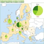 Biogas, un trend in salita. Il punto della situazione a Verona ed a Cremona