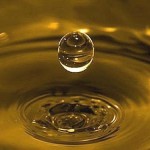 Olio da frittura, ci cucini e ci cammini