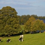 “Agriturismo e sostenibilità”: il contest che premia l’agriturismo più sostenibile