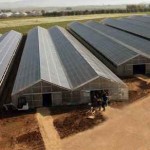 Sardegna: la serra fotovoltaica più grande del mondo, un anno dopo