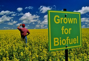 Biocarburanti