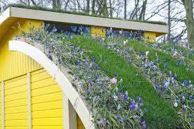 Green Roof