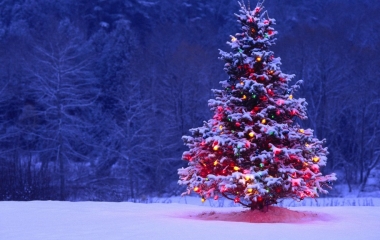 alberi di natale