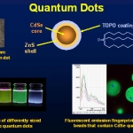 Quantum dot