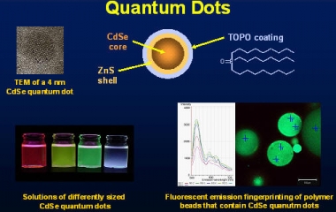 Quantum dot