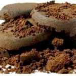 Biofuel dal caffè