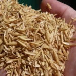 Lolla del riso per produrre pneumatici sostenibili