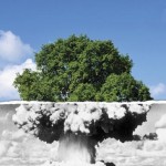 Greenpeace: i dieci motivi per cui dire no al nucleare