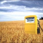 Quale bilancio energetico per i biocarburanti?