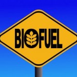 Biocombustibili, uno studio rivela i danni che potrebbero creare