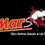 Ecco come il cioccolato sevizia gli animali: Mars e le torture