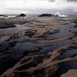 MIT: scoperta una nuova tecnica per ripulire le acque dal petrolio