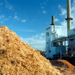 Energia da biomassa: dal CNR un nuovo metodo per migliorarne la qualità