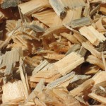 Rinnovabili: le biomasse inquinano più dei combustibili tradizionali