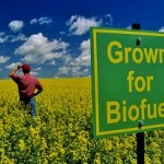 Biocarburanti, una priorità per Airbus, Air Canada e BioFuel Net Canada