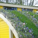 Olanda: tegole in materiale riciclato per tetti verdi