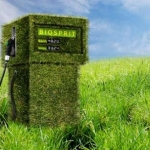 Biocarburante: alghe e liquami diventano energia green a Cadice